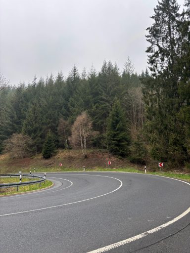 Kurvenreiche Straße zwischen dichten, grünen Bäumen und bewölktem Himmel.
