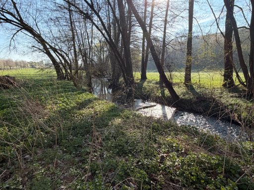Ein ruhiger Bach fließt durch eine bewaldete Wiese mit Sonnenschein und Schatten.