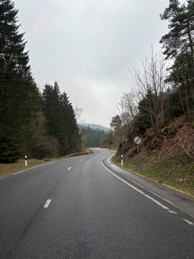 Kurvenreiche Straße zwischen bewaldeten Hügeln unter einem grauen Himmel.